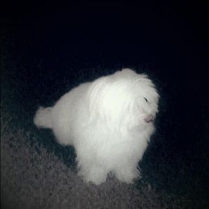 Meet your Posher, Rhonda